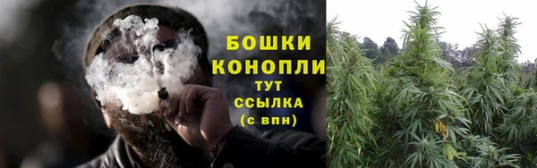 прущая мука Новодвинск