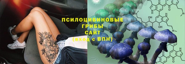 ALPHA PVP Магадан